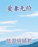 爱妻意思