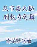 从市委大秘到权力之巅免费听书