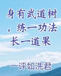身有武道树，练一功法长一道果