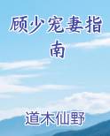 顾少宠妻超高调