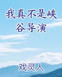 我真不是峡谷导演