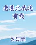 老婆比我还有钱