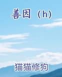 善因（h）
