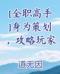 [全职高手]身为策划，攻略玩家