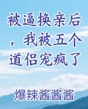 被逼换亲后，我被五个道侣宠疯了