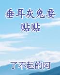 纯灰垂耳兔