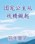 团宠公主从戏精做起