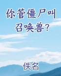 你管僵尸叫召唤兽？