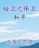 暗卫之保卫和平