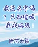 我没名字吗？只知道喊我战略级！