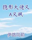 隐形大佬什么意思