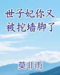 世子妃你又被挖墙脚了
