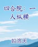 四合院：一人纵横