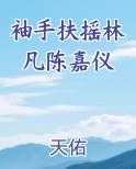 袖手扶摇林凡陈嘉仪小说
