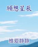顾想星辰TXT小说