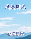 风起明末