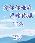 爱你你嫌弃，离婚你跪什么笔趣阁免费阅读
