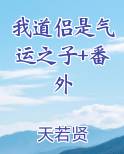 我道侣是只小狐狸 作者:今州