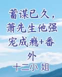 沈先生蓄谋已久