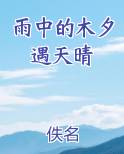 雨中的晴天小说