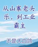 从山寨老头乐，到工业霸主