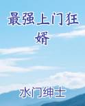 最强上门狂婿小说