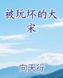 被玩坏的大宋