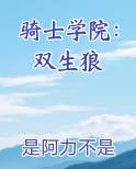 骑士学院：双生狼