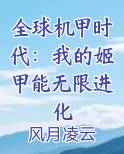 全球机甲时代：我的姬甲能无限进化