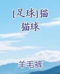 [足球]猫猫球