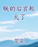 朕的后宫起火了