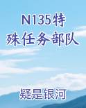 N135特殊任务部队
